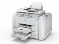 Epson RIPS-Drucker 5690